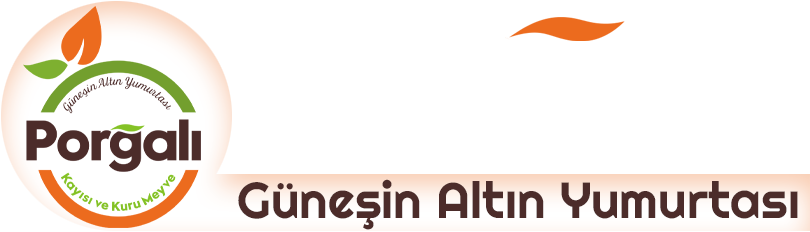 PORGALI KAYISI KURU MEYVE
